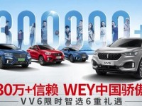 4月25日 WEY全国感恩惠南宁宝涞兴团购场