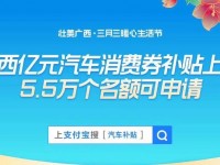 每辆车最高2000元 广西购车有补贴了