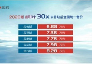 新能源枫叶30X新车上市 售6.88万起