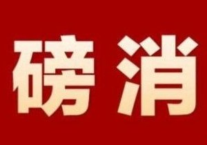 比亚迪与日野立合资公司开发纯电商用车