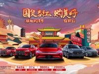 11月15日 硬核国货当红不让 比亚迪双时一购狂欢