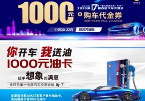 11月20日 百色第十七届汽车交易会盛况来袭！