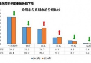2020中国车市：自主品牌市场份额下降 合资品牌销量攀升