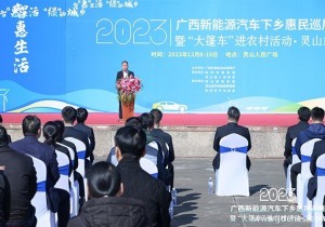 2023年广西新能源汽车下乡巡展暨“大篷车”进农村活动·灵山站