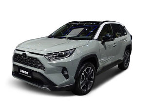  RAV4荣放 2019款 2.0L CVT两驱风尚X限量版 国V