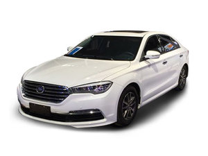  力帆820EV 2019款 至尊型