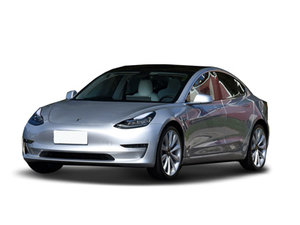  Model 3(进口) 2019款 长续航全轮驱动版