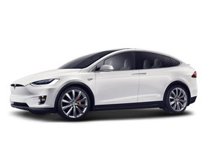  Model X 2020款 长续航升级版