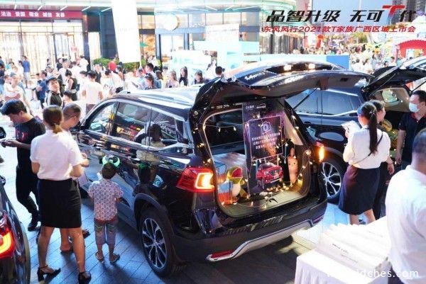 加大号智惠精品SUV 2021款风行T5/T5L品智再升级