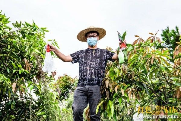 红色之旅 即刻启辰   ——东风日产启辰华南一区车主自驾游暨红色试驾之旅