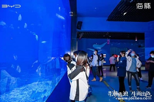 “寻潮造浪 生而出色”比亚迪海豚试驾体验之旅——南宁站