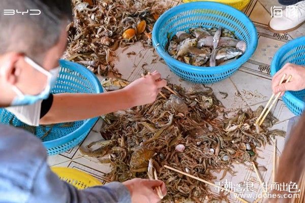 “寻潮造浪 生而出色”比亚迪海豚试驾体验之旅——南宁站