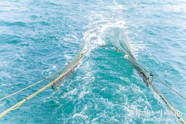 “寻潮造浪 生而出色”比亚迪海豚试驾体验之旅——南宁站