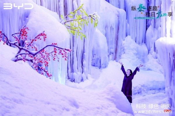 “纵秦逐趣 秋日Fun享”  再次体验秦PLUS DM—I驾控乐趣