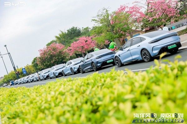 海洋风“豹” 南区”豹”到 比亚迪海豹广西媒体试驾会顺利举办