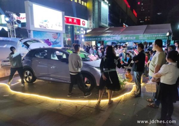 生而出色  2023款海豚上市会北海站活动圆满结束