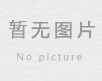 九创东风风行专营店